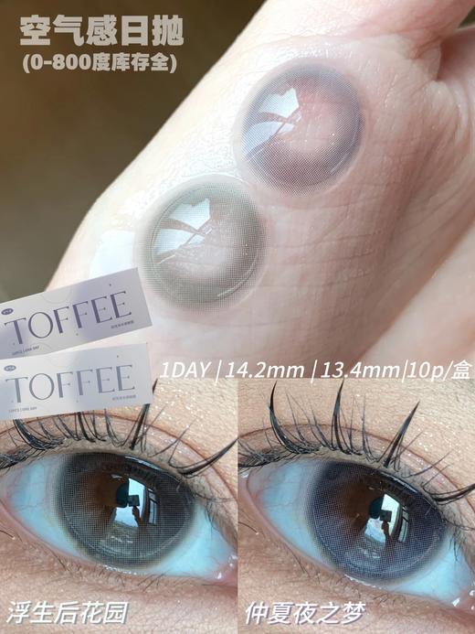 Toffee 浮生后花园/仲夏夜之梦 10片/盒（日抛型） 商品图0