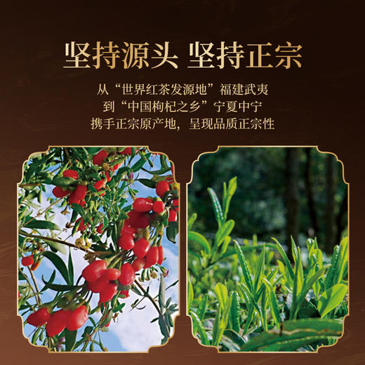 正山堂 宁夏枸杞红茶 配伍骏眉红茶正宗骏眉中国枸杞叶茶罐装200g 商品图3