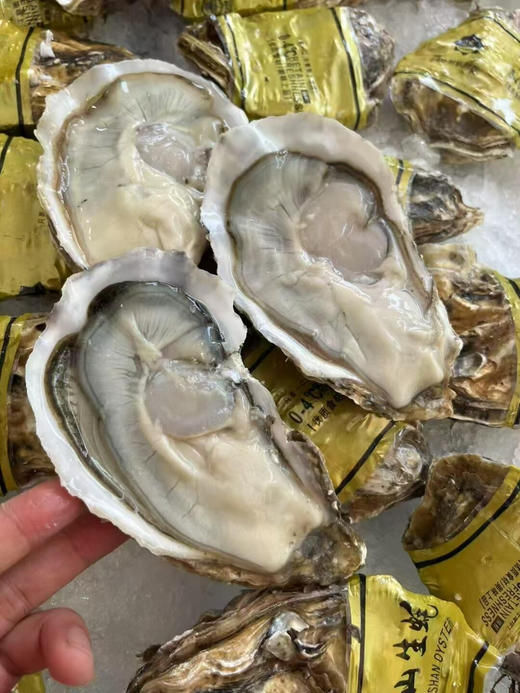 乳山生蚝（重3斤左右8个左右） 商品图5