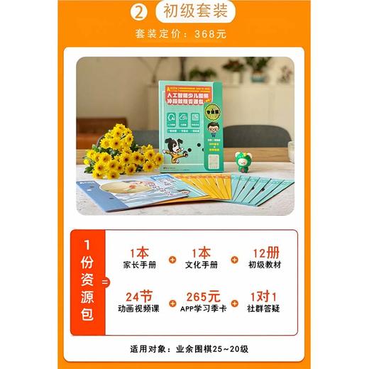 【全运特惠链接】人工智能少儿围棋 亲子版入门级/初级/中级/高级/校园版入门级 爱思通围棋AI教练围棋视频课逻辑思维训练 商品图3