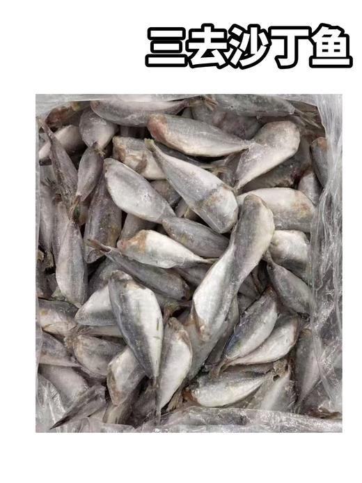 【冻品】三去沙丁鱼 一斤10只左右 商品图0