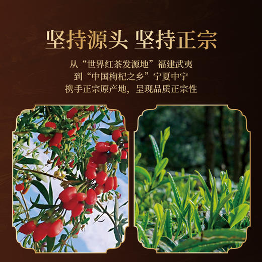 正山堂 宁夏枸杞红茶 配伍福建乌龙茶骏眉中国正宗枸杞叶茶罐装50g 商品图3