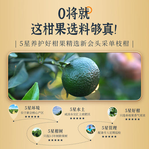 澜沧古茶2025年茶妈妈小青柑新会陈皮普洱熟茶柑普茶5颗装50g 商品图3