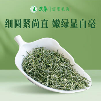 文新绿茶2026新茶上市手工头采信阳毛尖特级75g明前罐装 /水饮冲调 /茗茶 /绿茶 商品图5