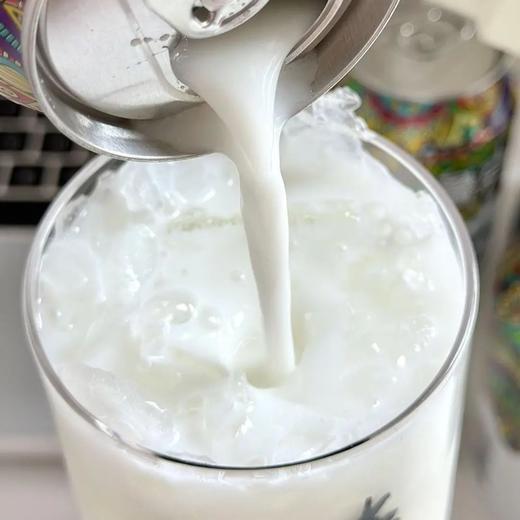 吐鲁克·酱香奶啤（12瓶*300ml/瓶） | 新疆风味，酱香浓郁，奶香醇厚，清爽顺滑 商品图1