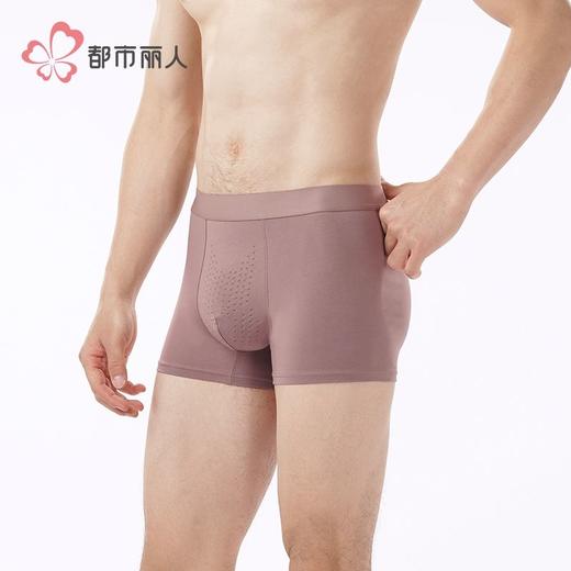 都市丽人内裤男士内裤50S水柔棉内裤明筋平角内裤男内裤FKHC32 商品图3