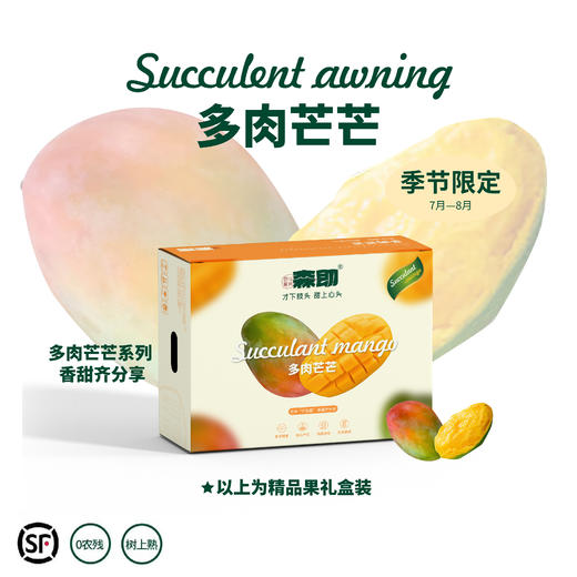 【预售中】攀枝花凯特芒 | 多肉芒芒 肉厚多汁大脸芒 芒果新鲜水果  甜度高达19 精品红头 5斤礼盒装 商品图4
