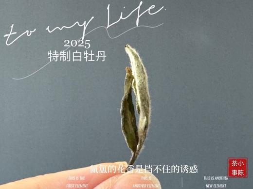 [拍3份发4份]2025特制白牡丹回归，花蜜似的浓、果浆似的稠、蜜汁似的甜，每一口都醉人！ 商品图6