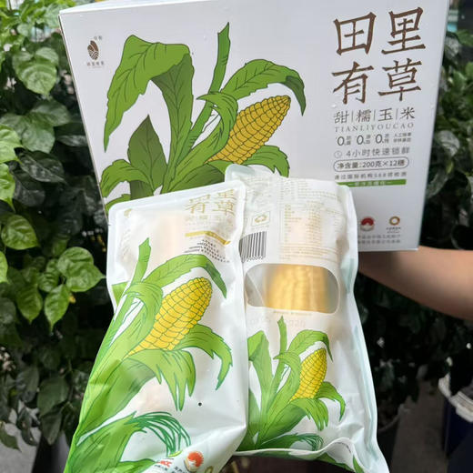 田里有草甜糯玉米 商品图4