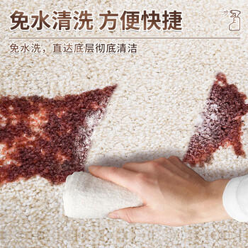 夏阳（XIAYANG）地毯清洗剂2.5kg布艺沙发床垫窗帘地毯去污清洗免水洗干洗剂去油 /家庭清洁/纸品 /家庭环境清洁 /其它清洁用品 商品图0