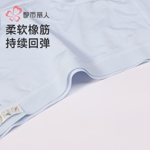 都市丽人内裤女士内裤莫代尔内裤女士平角内裤女内裤LKH5T2 商品图6