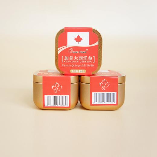 热销 加拿大 西洋参片铁盒装(20g/盒) 商品图1