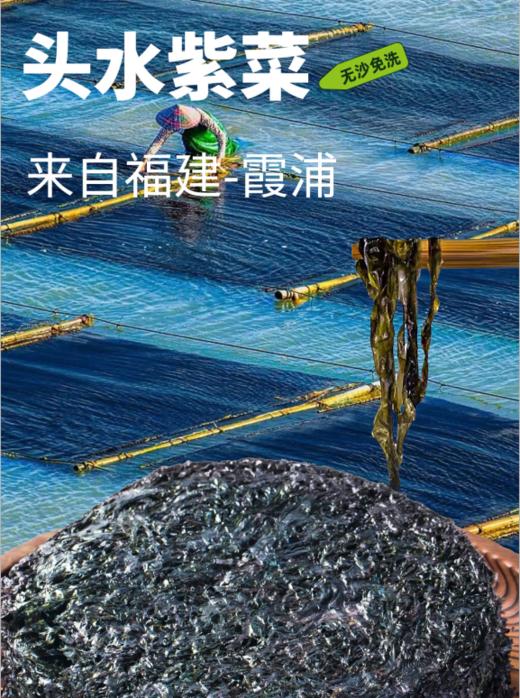 0593【国企严选，山海食材】紫菜（50g*6包） 商品图0