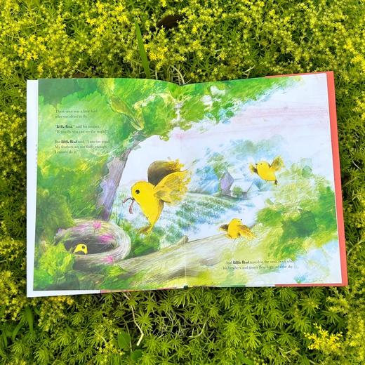 Fly. Little Bird. Fly 适合5岁+情商开发温柔冒险原版英文绘本 商品图1