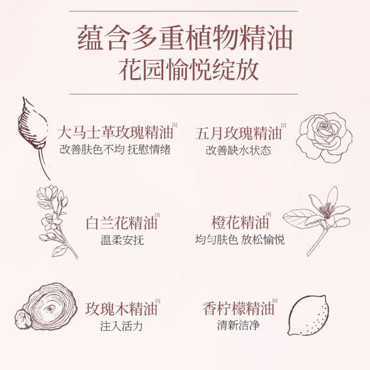 【微商城双12专属价】橪晨露玫瑰精油私护慕斯150g*4 商品图6