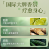 Na奈十八本香柠檬生姜洗发水固发洗头膏蓬松洗发露护发素套装 商品缩略图6