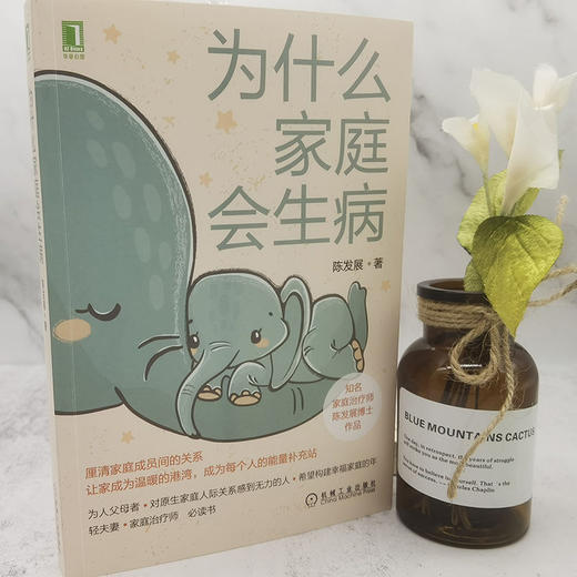 官网 为什么家庭会生病 陈发展 家庭治疗理论和方法 如何从家庭系统理解自己 家人和心理疾病 心理健康科普读物 商品图1