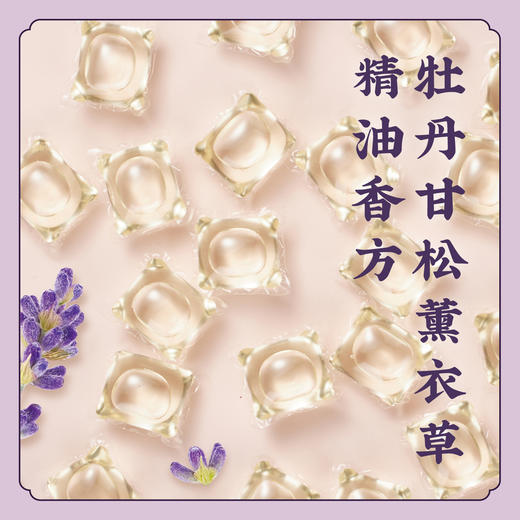 【洗衣凝珠】陈氏香谱古方洗衣香 植物精油  机洗4倍浓缩8倍洁净 K仅参与会员折扣 商品图3