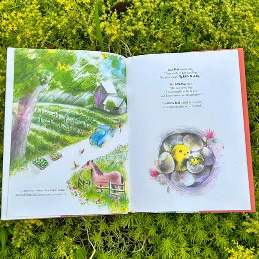 Fly. Little Bird. Fly 适合5岁+情商开发温柔冒险原版英文绘本 商品图4