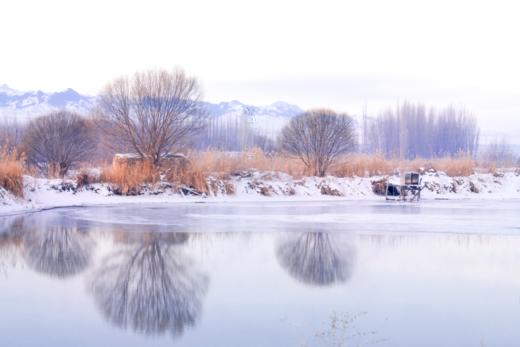 【新疆冬摄12天摄影团 】冰雪喀纳斯、禾木、布尔津、天鹅泉、冲乎尔、赛里木湖、安集海 商品图4