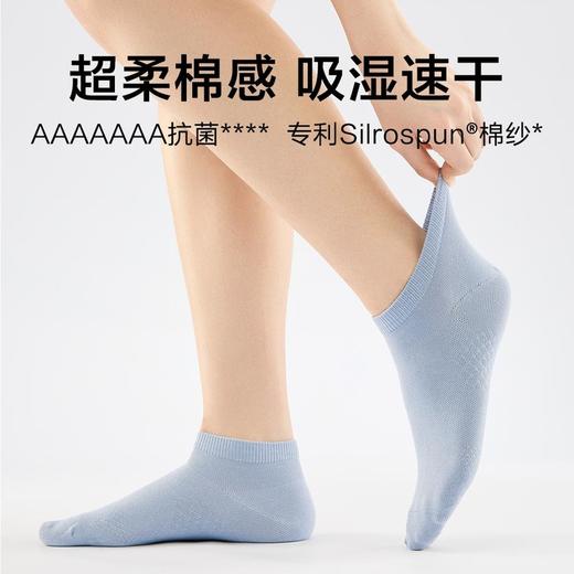 MM 山姆 Member's Mark 吸湿速干棉女短袜 8双装 混色 商品图8