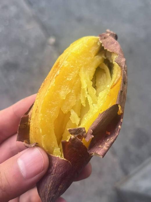 周六取货：【地瓜】一份2斤左右，入口香甜，无筋，糯，粉！ 美味营养！！ 商品图3