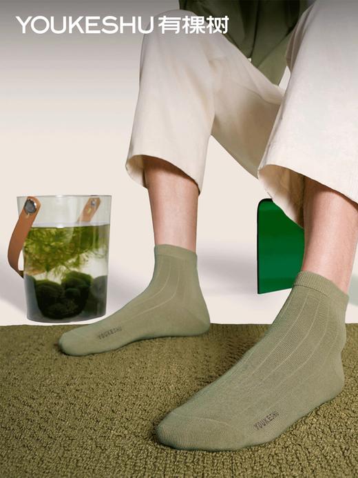 【好奇博士专属】有棵树袜子情侣男女款中筒袜短袜吸汗透气长袜四季款海藻消臭--男款 商品图0