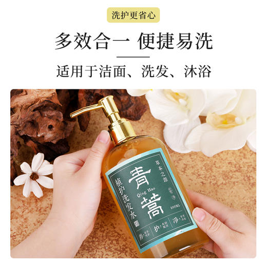 【专属】【买3送1】笙观相沐植护青蒿洗发水 多种植物复配 专利、进口成分  多效合一 长效控油去屑 商品图7
