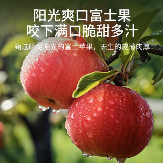 福东海苹果山楂条160克 无添加儿童开胃零食搭六物山楂条 独立袋装 商品图6