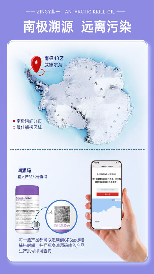 紫一南极磷虾油单瓶60粒装（套餐） 商品图8