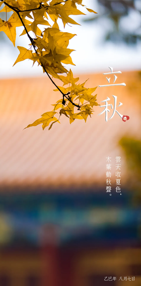 抬头已是秋，方知岁月太匆匆