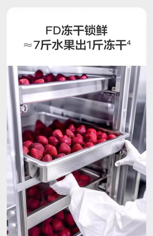 光合星球火龙果、水蜜桃溶豆BBC-126535/BBC-126542 商品图5