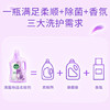 滴露（Dettol）热门商品柔顺剂薰衣草2.5L除菌衣物柔顺剂持久留香柔软剂洗衣液 /家庭清洁/纸品 /衣物清洁 /柔顺剂 商品缩略图3