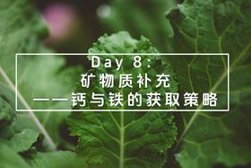 Day 8：矿物质补充——钙与铁的获取策略