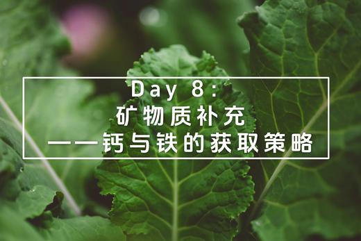 Day 8：矿物质补充——钙与铁的获取策略 商品图0