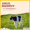 北海牧场 特浓牛乳纯牛奶200ml*12盒 3.8g原生乳蛋白自带甜感高钙奶礼盒装 /水饮冲调 /常温奶 /基础牛奶 商品缩略图4
