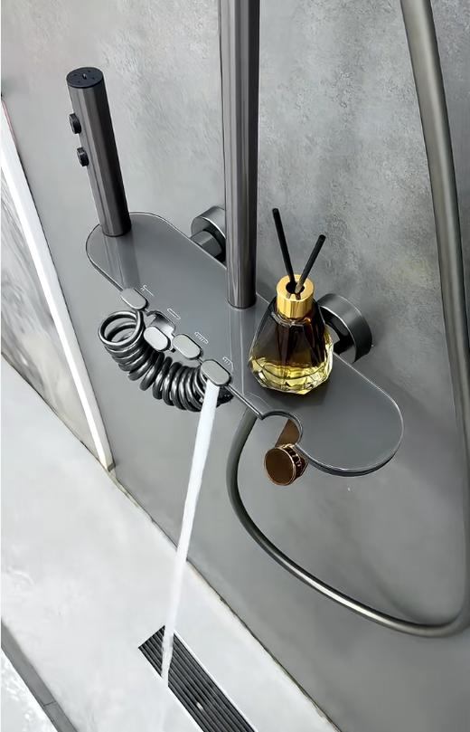 5960全铜圣玛丽四档按键花洒-枪灰 商品图1