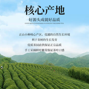 第一江南红茶武夷正山小种特级500g新茶浓香茶叶礼盒罐装春茶送人礼品 /水饮冲调 /茗茶 /红茶 商品图3