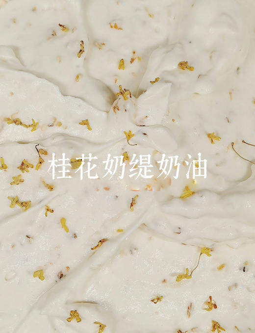 生椰双桂生花 商品图1