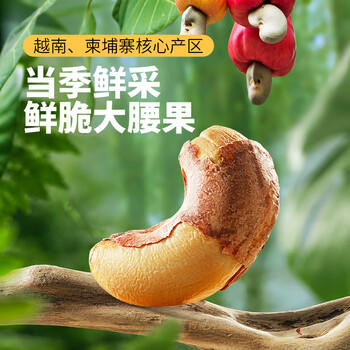 三只松鼠袋装紫皮腰果500g每日坚果炒货干果休闲零食0添加团购送礼 /休闲食品 /坚果炒货 /腰果 商品图2