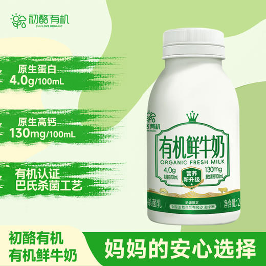 包邮【厂商直发】初酪鲜奶纯牛奶低温巴氏杀菌内蒙古鲜奶240gX8瓶装 商品图1