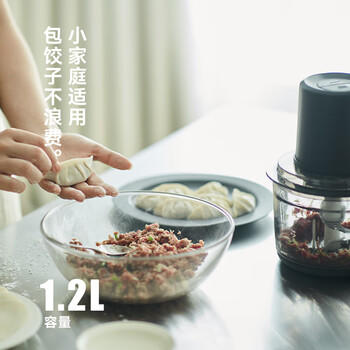 olayks立时 绞肉机 家用料理机 辅食机婴儿 绞馅机碎肉机搅拌机 打肉机打蒜器肉馅机 /家用电器 /厨房小电 /绞肉/切菜机 商品图6