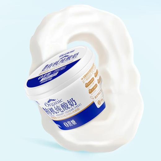 包邮【厂商直发】初酪有机酸牛奶低温巴氏杀菌奶沙漠有机纯酸奶0蔗糖3瓶装 商品图6