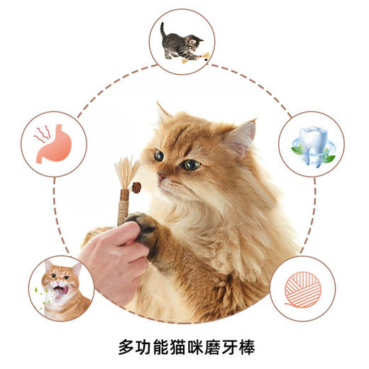 抖音爆款猫咪磨牙棒玩具木天蓼洁齿棒猫薄荷逗猫棒拉菲草啃咬棒 商品图2