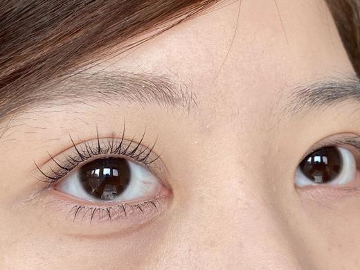 Sincecon半年抛·透光芝麻（小黑环）/满分水光（小咖环）胶原分子（小灰环）·14.0mm小着色 商品图4