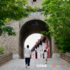【袋鼠爸爸去哪儿丨地建南山(永寿)花园酒店】永寿县地标性的园林式酒店，以绿色生态为主题，可免费停车，有近2.6万平米户外草坪，适合露营烧烤，轻松县城游~ 商品缩略图10