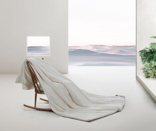 水星100%桑蚕丝臻享抗菌四季被 商品图0