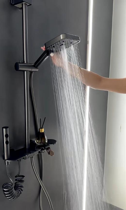 5960全铜圣玛丽四档按键花洒-枪灰 商品图4