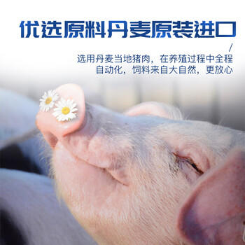 郁金香（TULIP）丹麦进口午餐肉罐头198g 火锅食材早餐汉堡配菜熟食囤货 /休闲食品 /罐头食品 /畜肉类罐头 商品图1