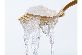  秋天的第一碗燕窝